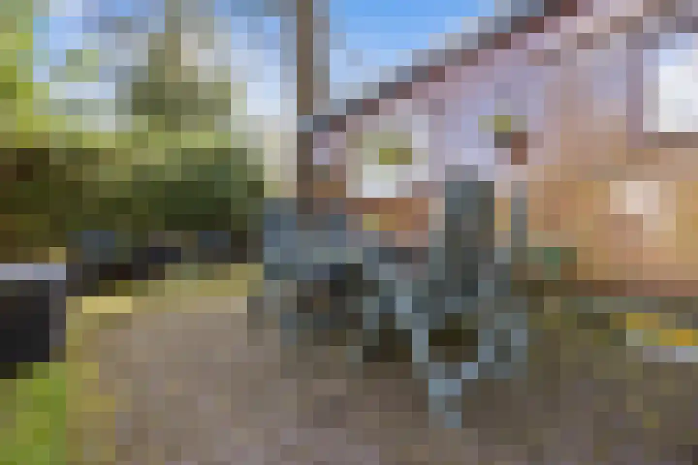 Koningsweg 14 9 Arnhem thumbnail 13