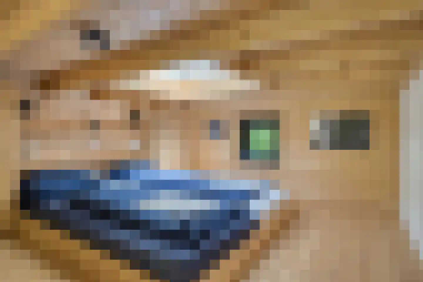 Koningsweg 14 9 Arnhem thumbnail 13