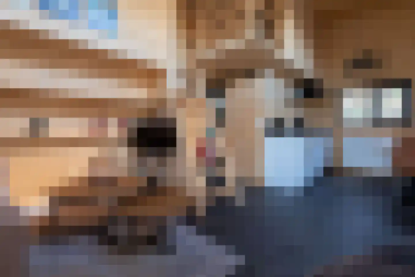 Koningsweg 14 9 Arnhem thumbnail 13