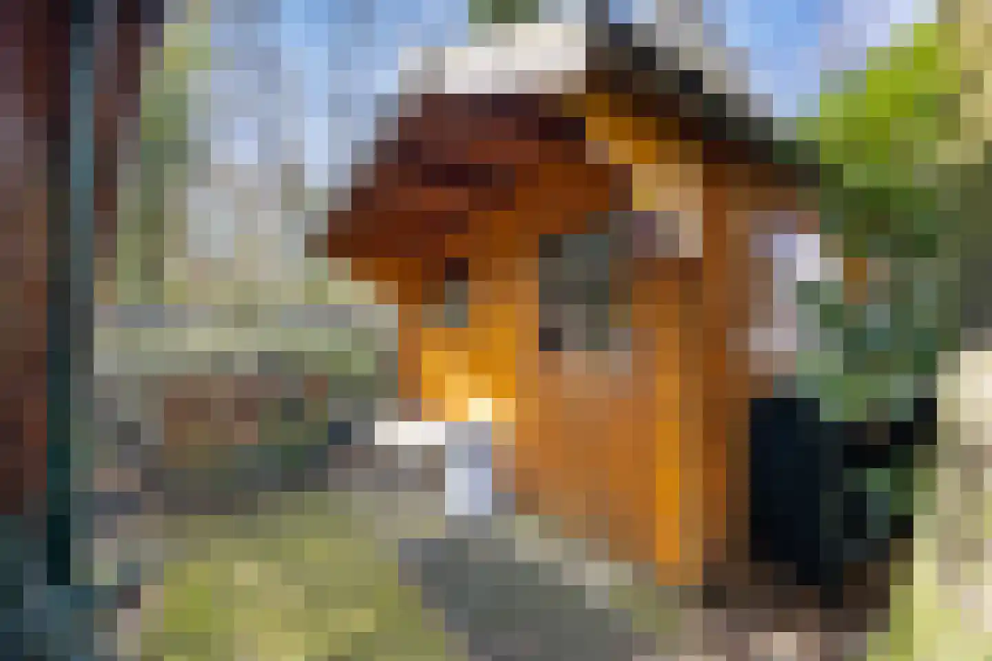 Koningsweg 14 9 Arnhem thumbnail 14