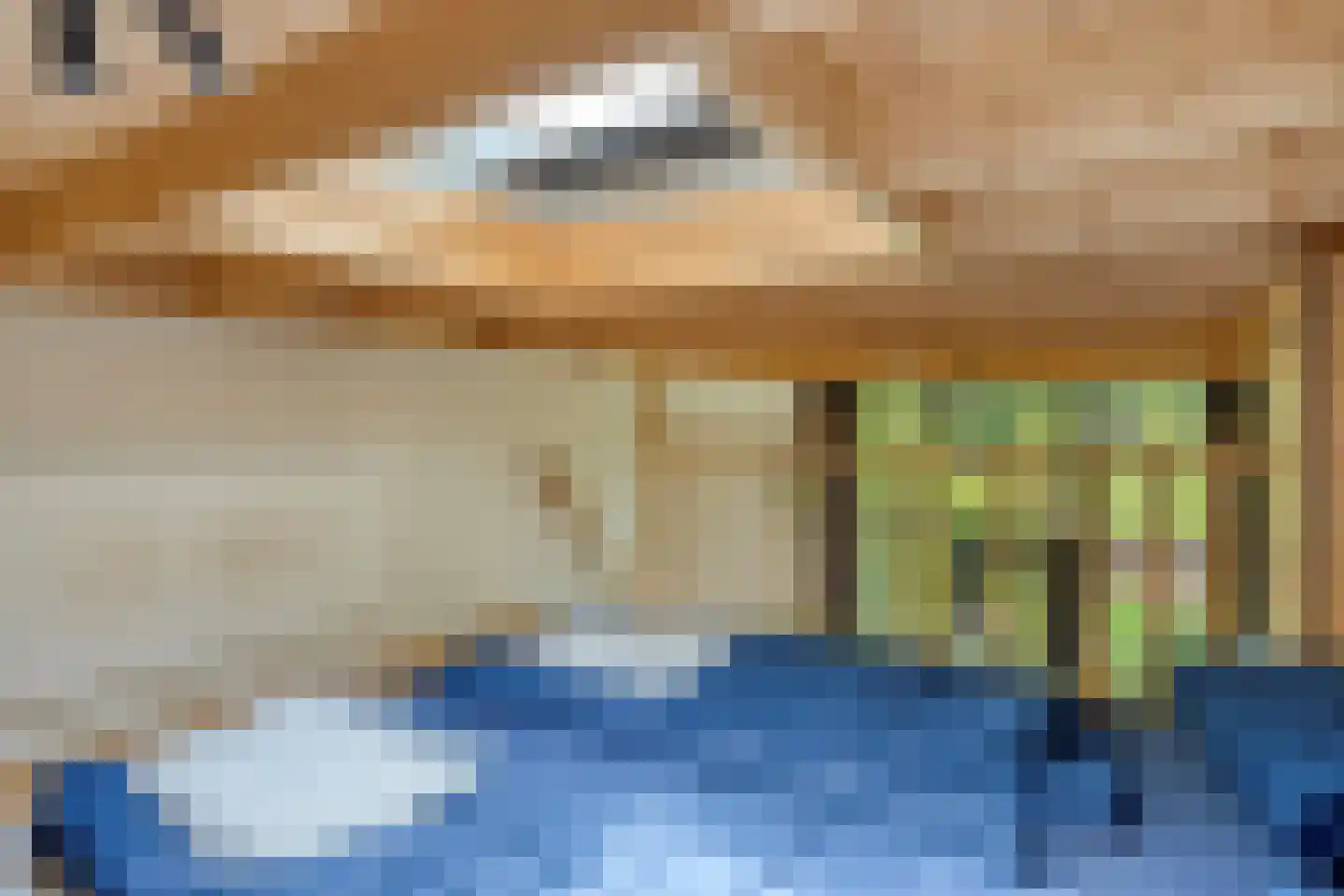 Koningsweg 14 9 Arnhem thumbnail 14