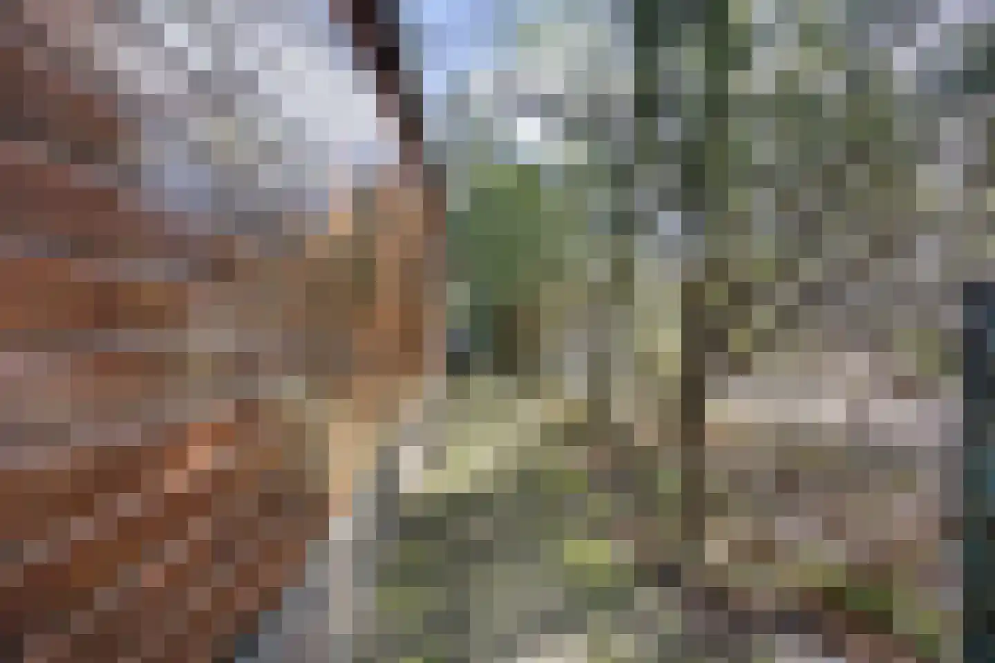 Koningsweg 14 9 Arnhem thumbnail 15