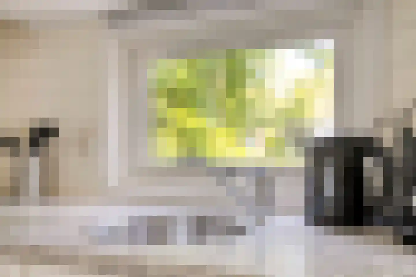 Koningsweg 14 9 Arnhem thumbnail 16