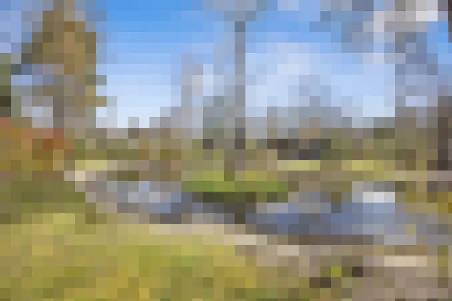 Koningsweg 14 9 Arnhem thumbnail 18