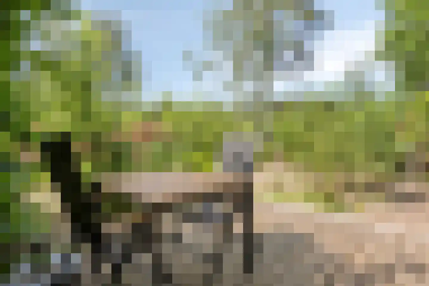 Koningsweg 14 9 Arnhem thumbnail 18