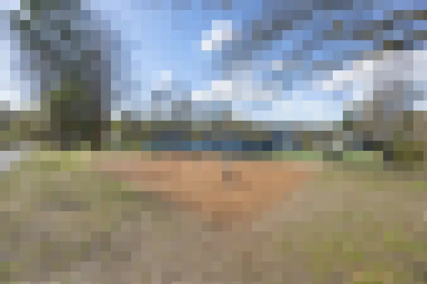 Koningsweg 14 9 Arnhem thumbnail 19