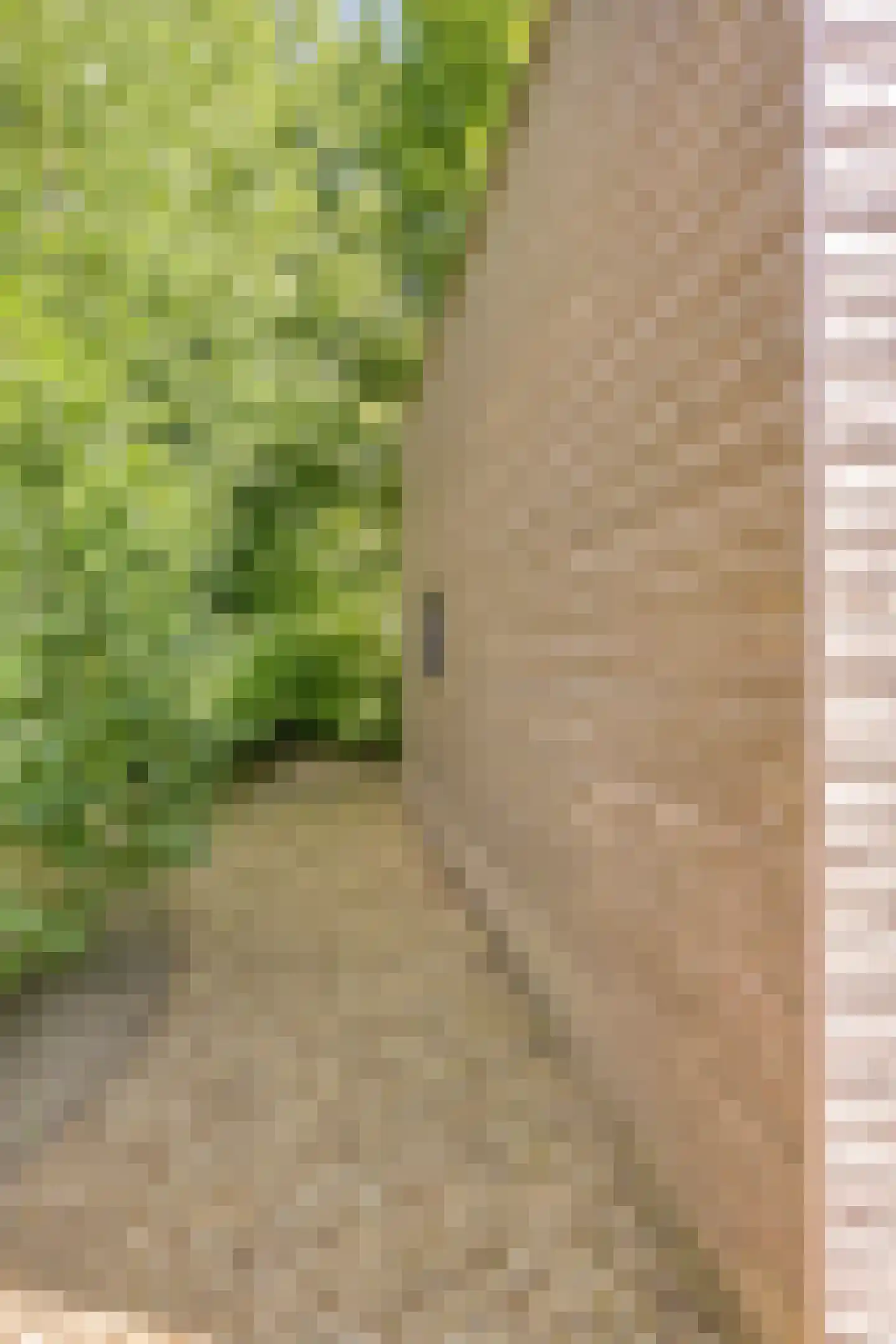 Koningsweg 14 9 Arnhem thumbnail 20