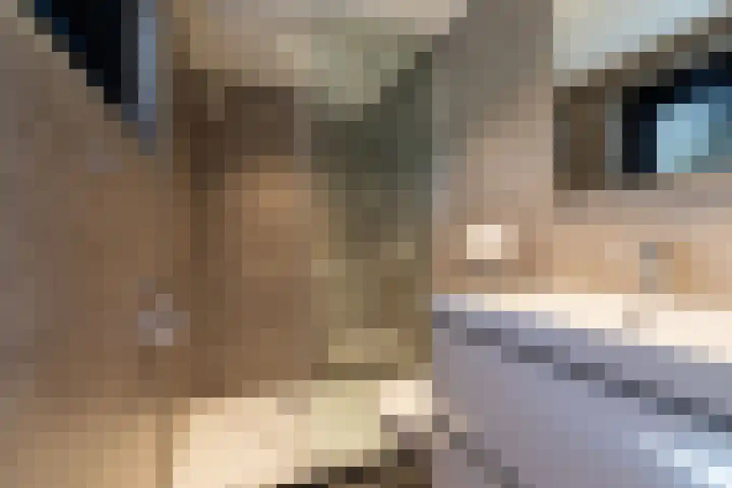 Koningsweg 14 9 Arnhem thumbnail 21