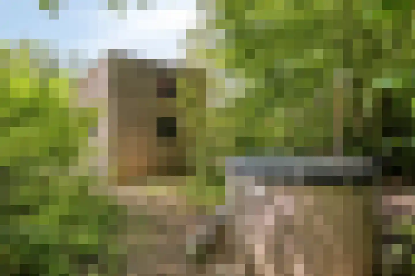 Koningsweg 14 9 Arnhem thumbnail 21