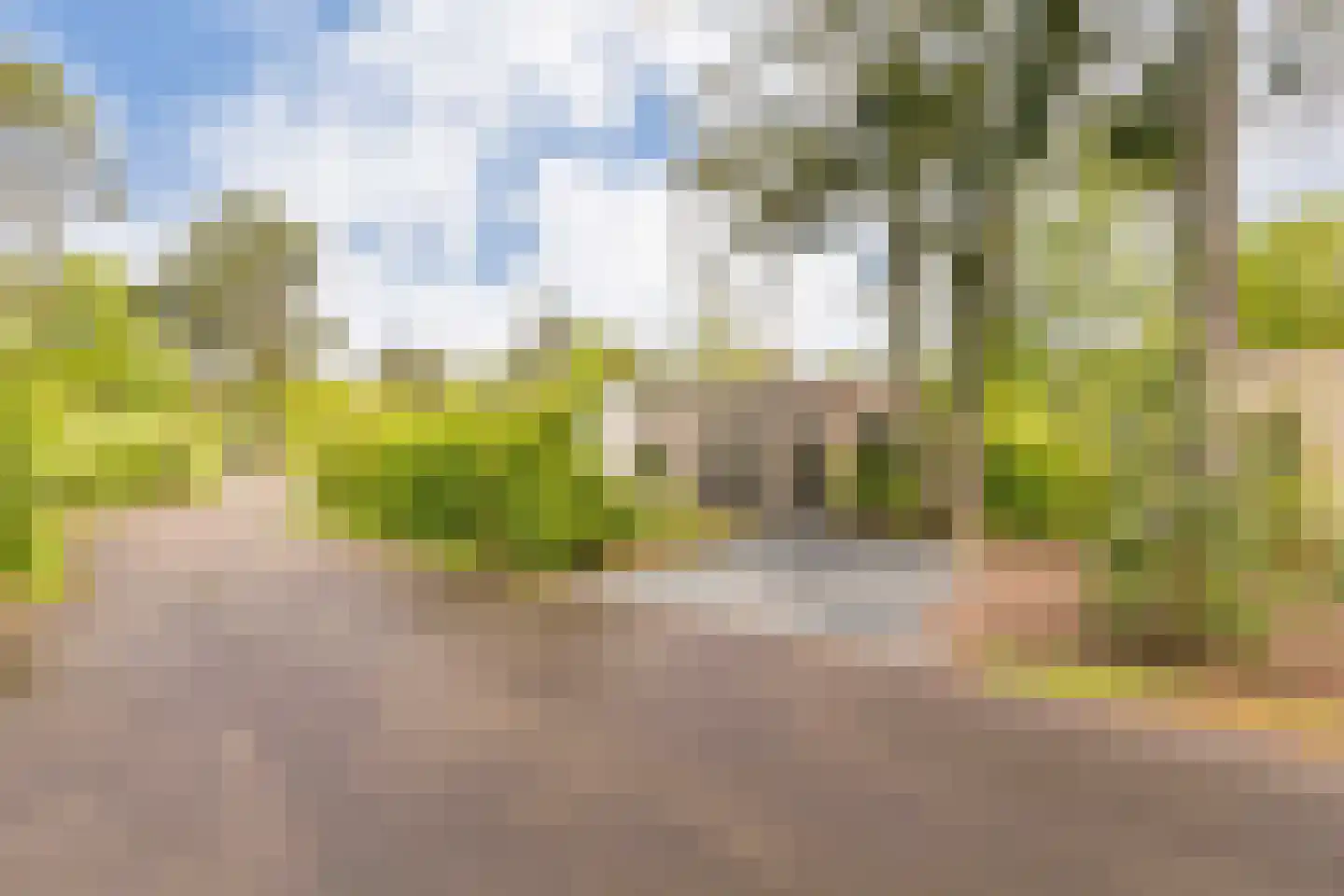 Koningsweg 14 9 Arnhem thumbnail 21