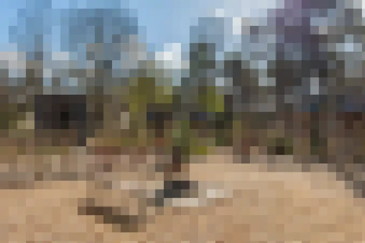Koningsweg 14 9 Arnhem thumbnail 22