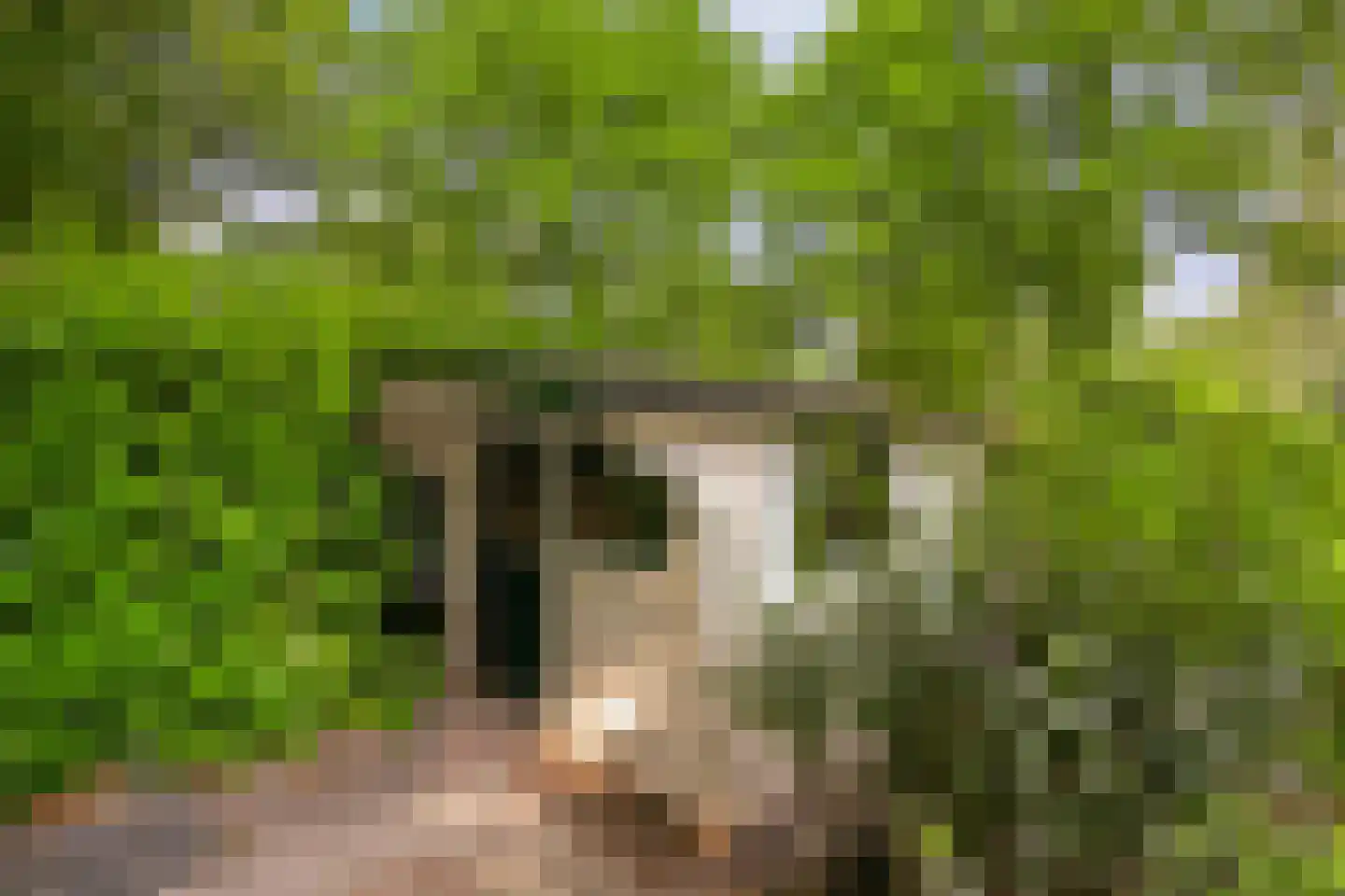 Koningsweg 14 9 Arnhem thumbnail 23