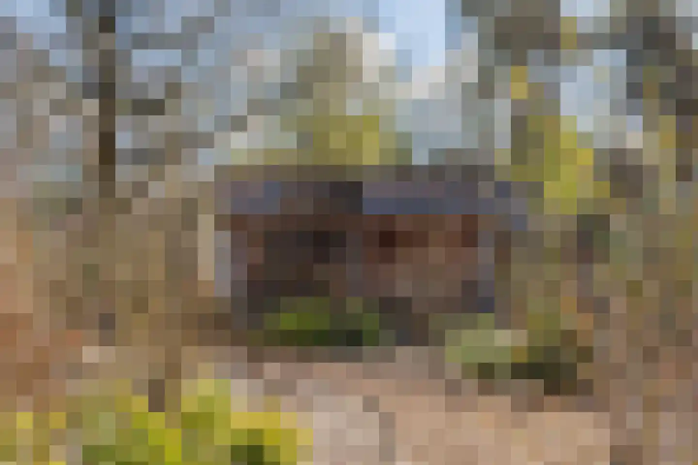 Koningsweg 14 9 Arnhem thumbnail 23