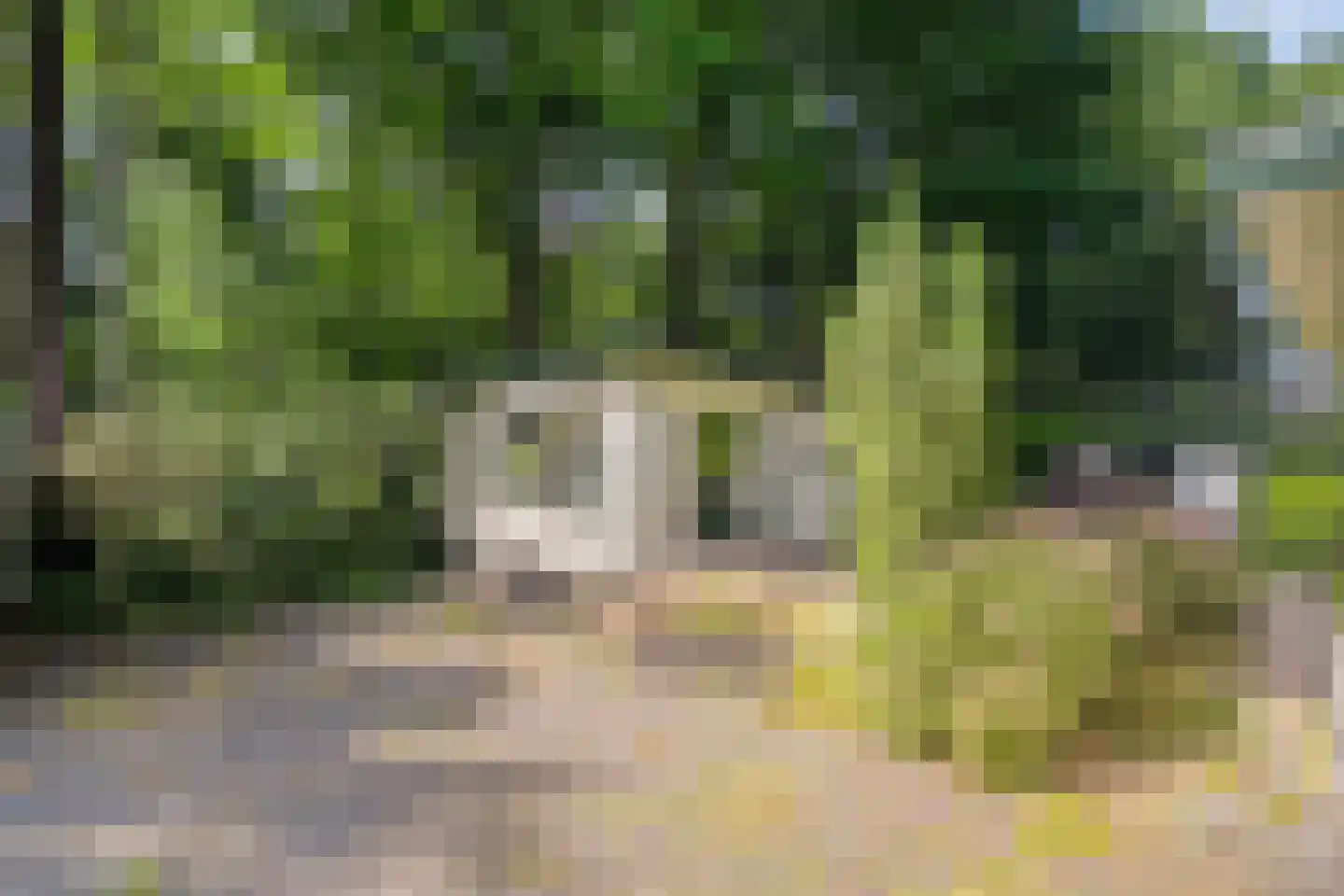 Koningsweg 14 9 Arnhem thumbnail 24