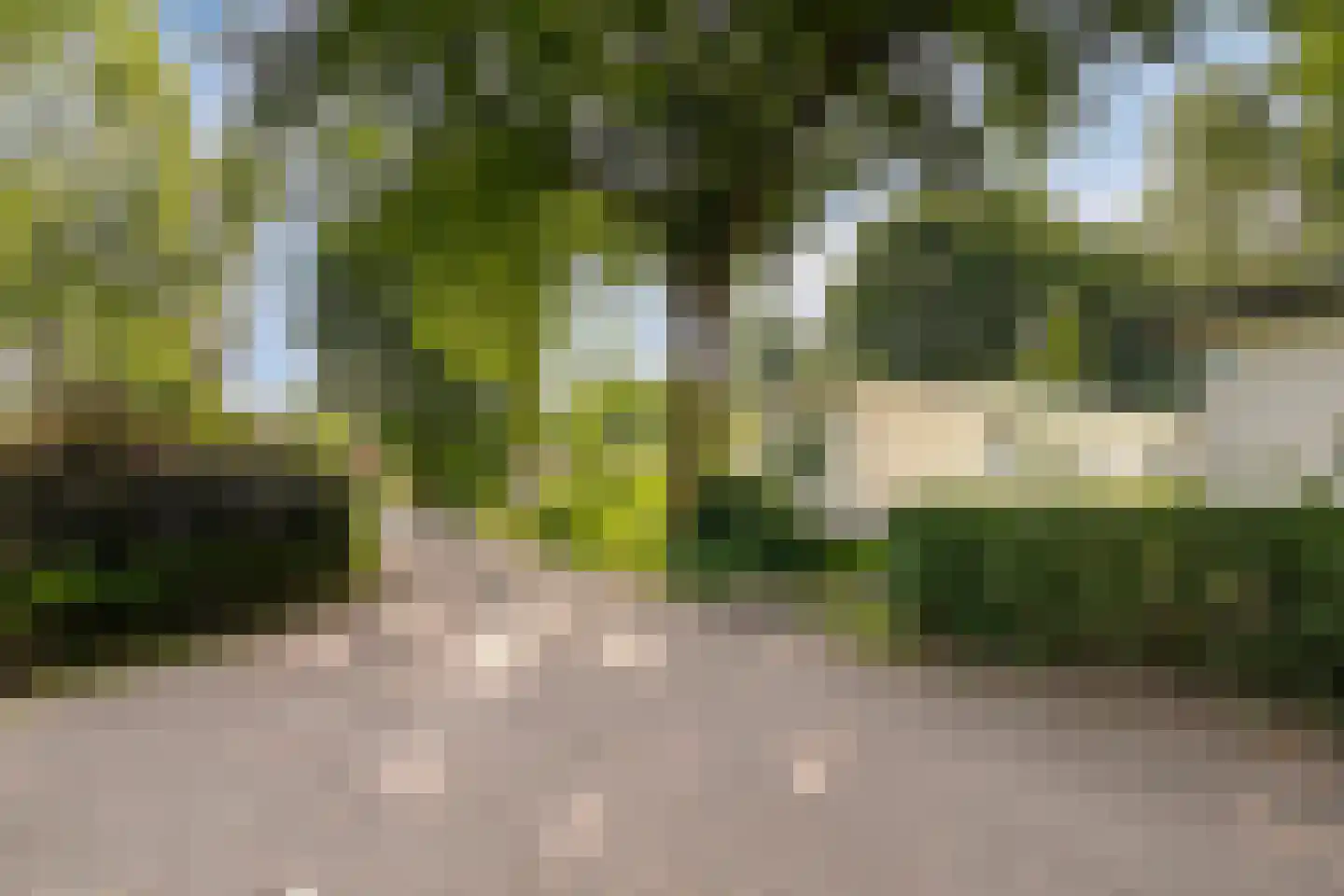 Koningsweg 14 9 Arnhem thumbnail 26