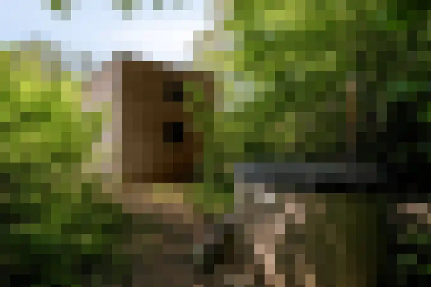 Koningsweg 14 9 Arnhem thumbnail 4