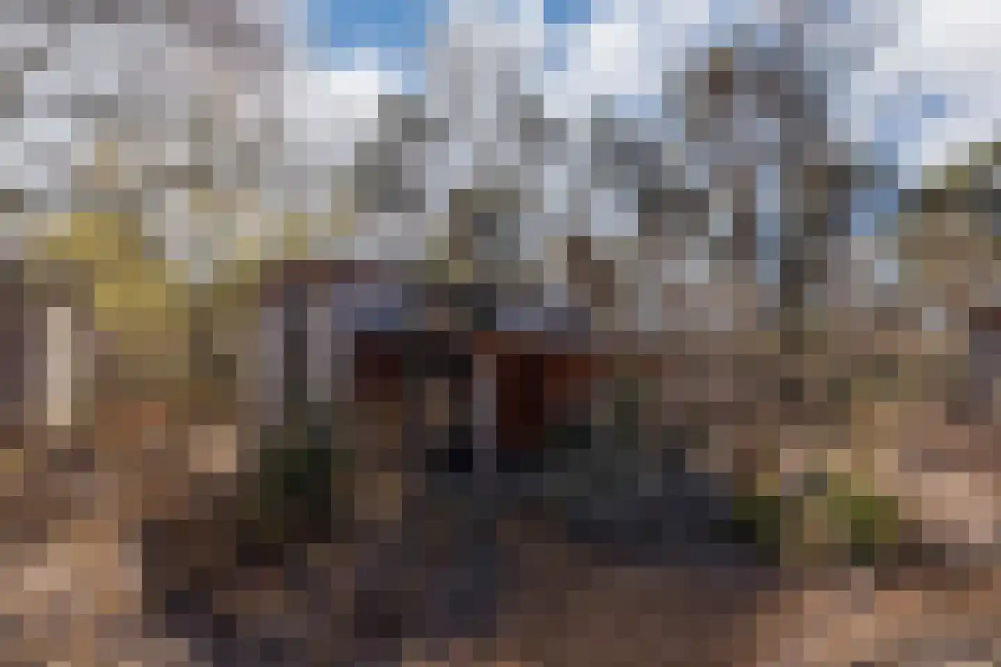 Koningsweg 14 9 Arnhem thumbnail 4