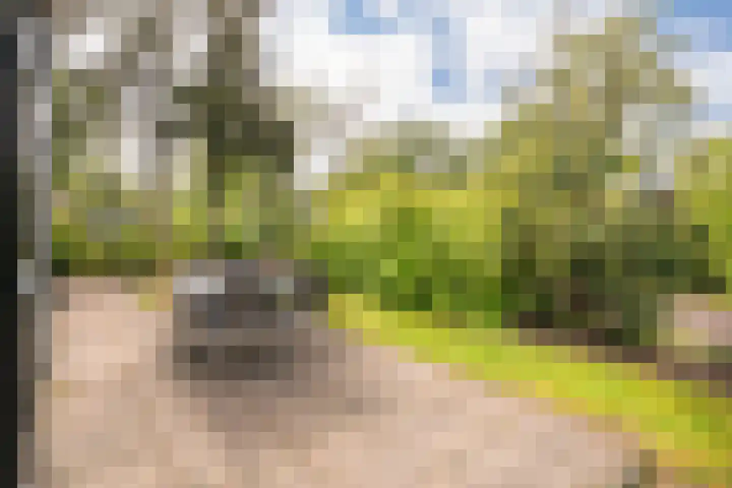 Koningsweg 14 9 Arnhem thumbnail 5