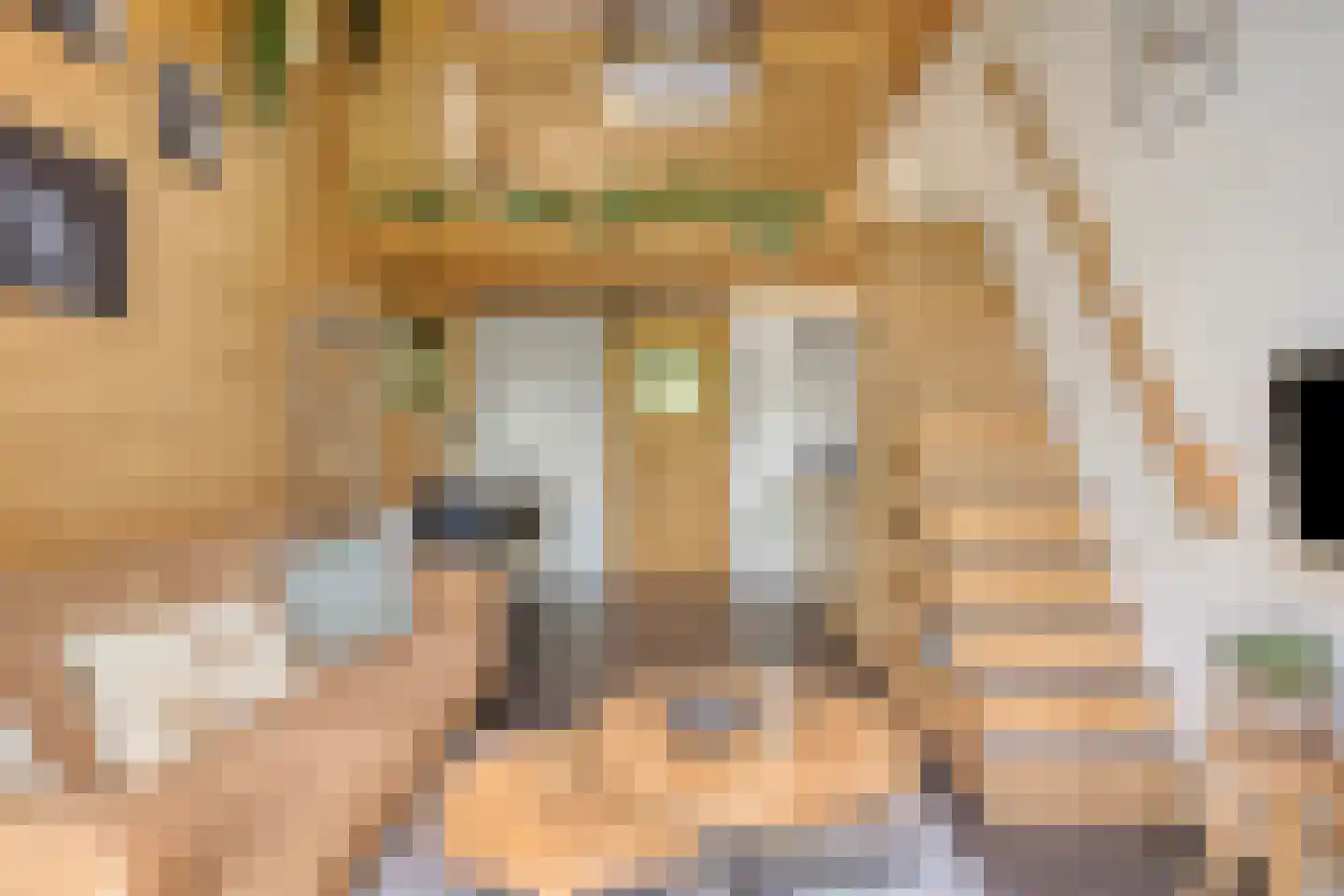Koningsweg 14 9 Arnhem thumbnail 5