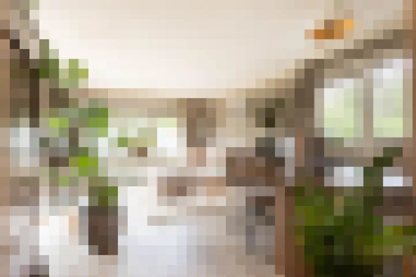 Koningsweg 14 9 Arnhem thumbnail 5