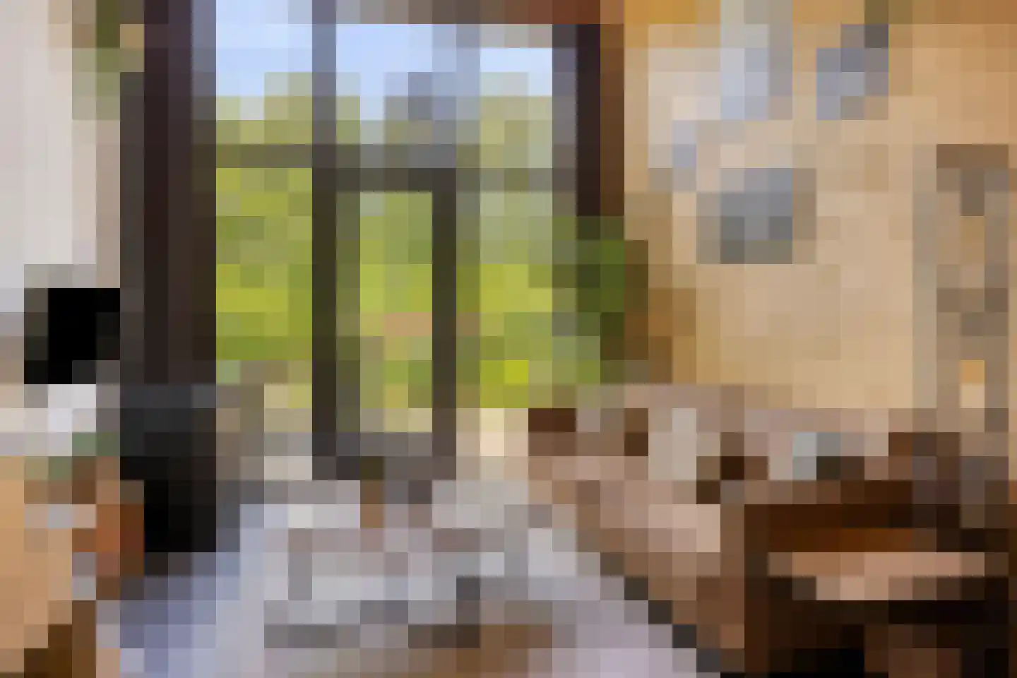 Koningsweg 14 9 Arnhem thumbnail 6