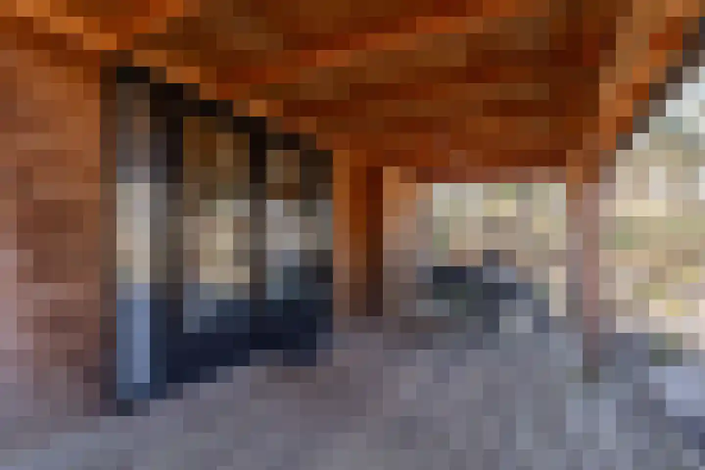 Koningsweg 14 9 Arnhem thumbnail 7