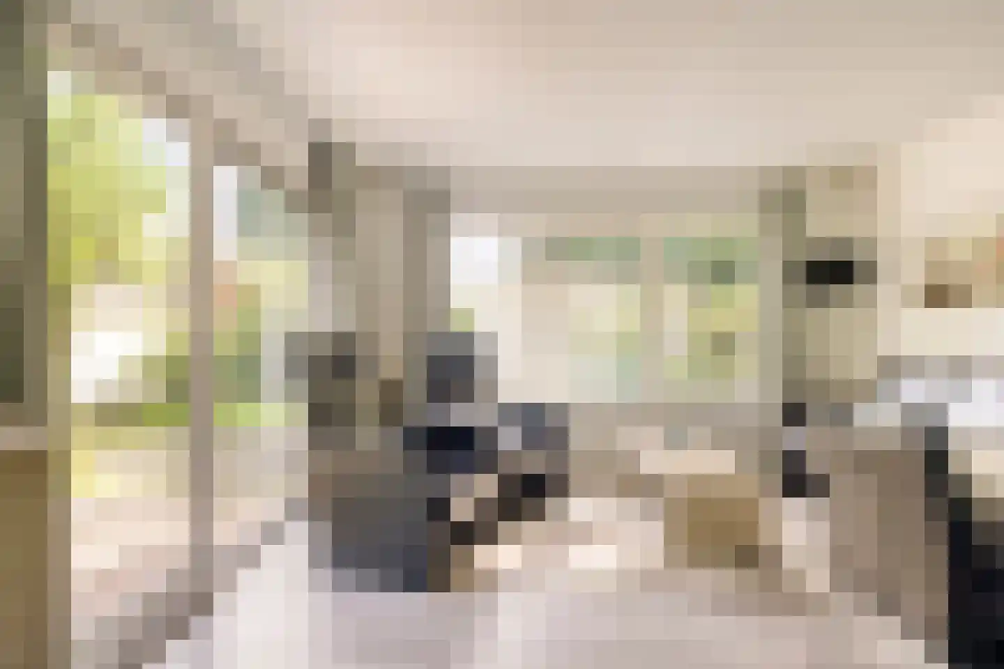 Koningsweg 14 9 Arnhem thumbnail 8