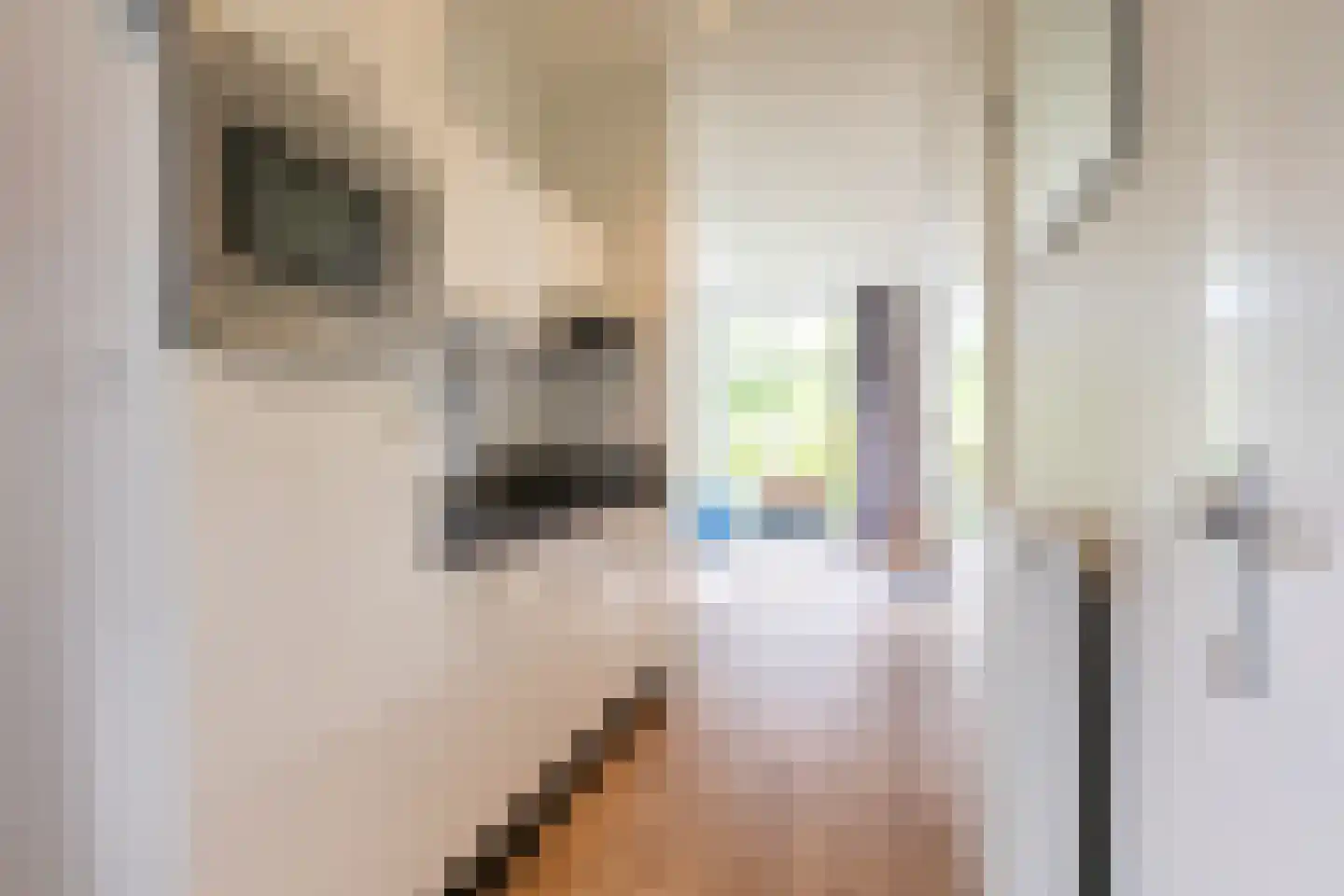 Koningsweg 14 9 Arnhem thumbnail 8
