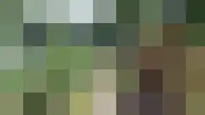 Koningsweg 14 A Arnhem thumbnail 5