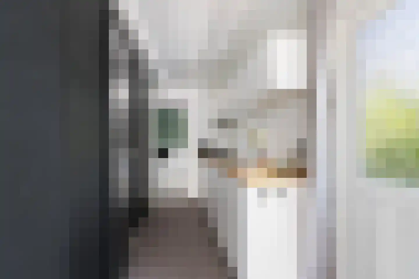 Koningsweg 14 C2a Arnhem thumbnail 12