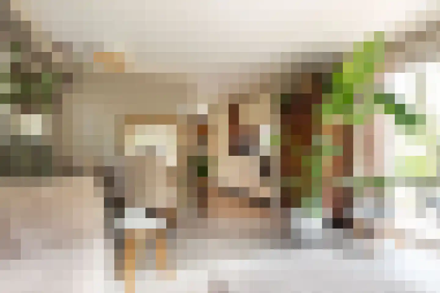 Koningsweg 14 D1 Arnhem thumbnail 11
