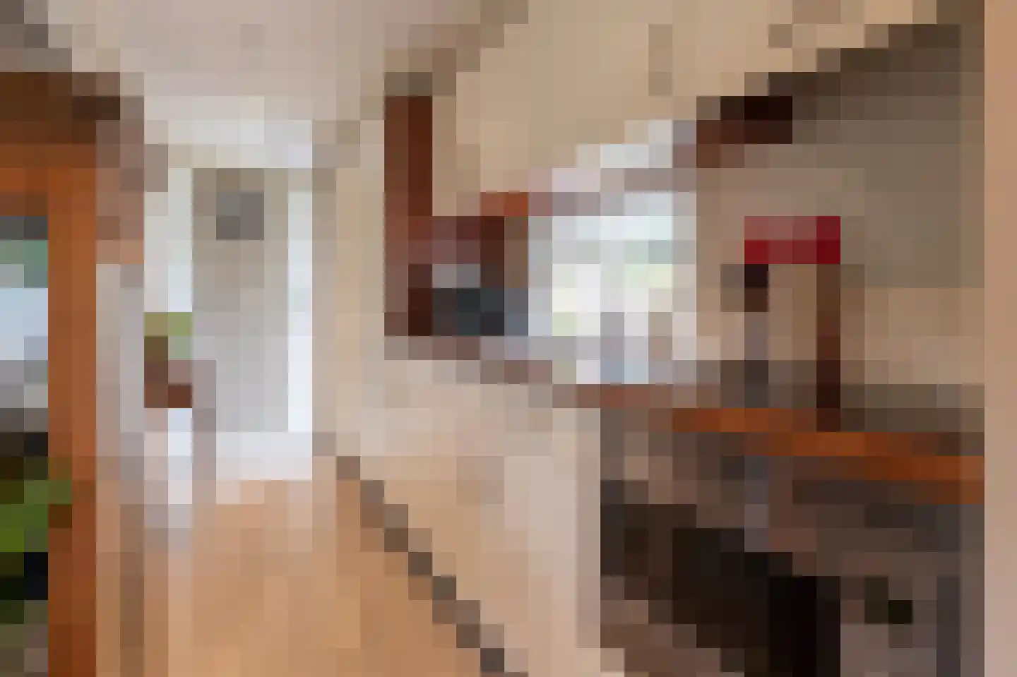 Koningsweg 14 D1 Arnhem thumbnail 15
