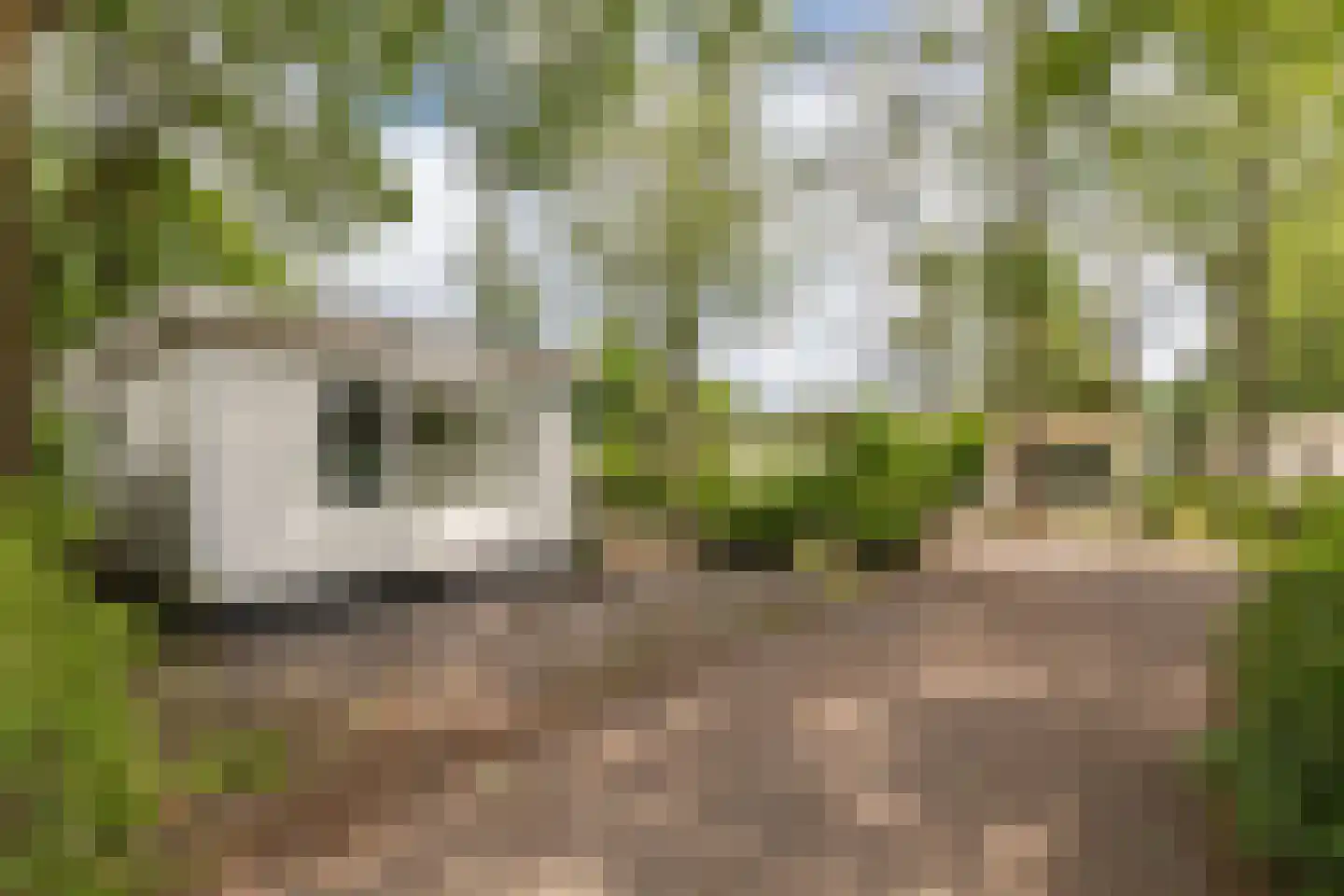 Koningsweg 14 D1 Arnhem thumbnail 20