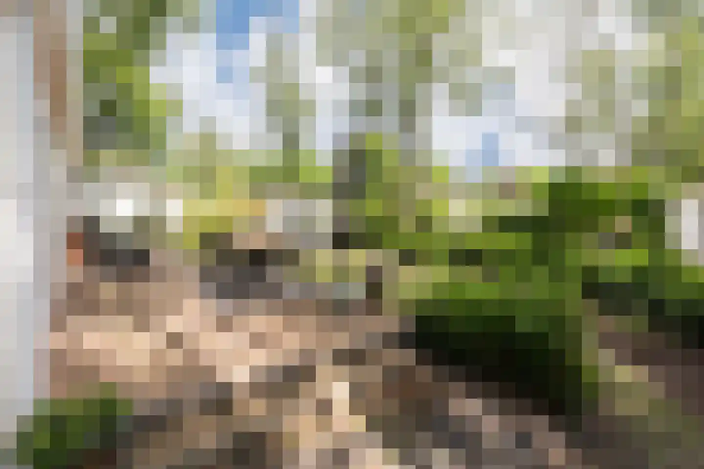 Koningsweg 14 D1 Arnhem thumbnail 21