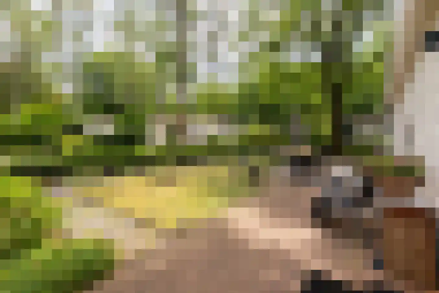 Koningsweg 14 D1 Arnhem thumbnail 4