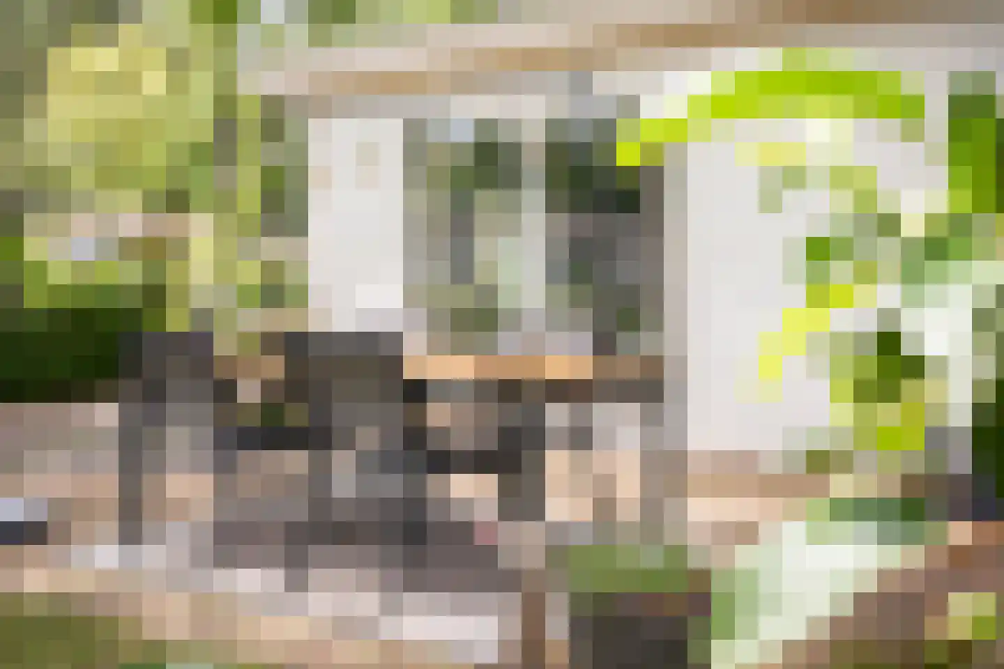 Koningsweg 14 D1 Arnhem thumbnail 5