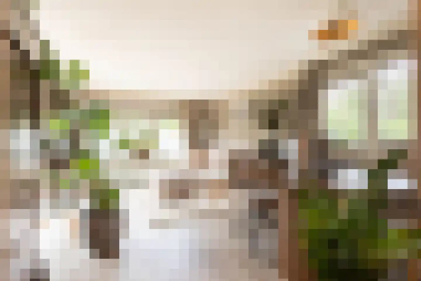 Koningsweg 14 D1 Arnhem thumbnail 7