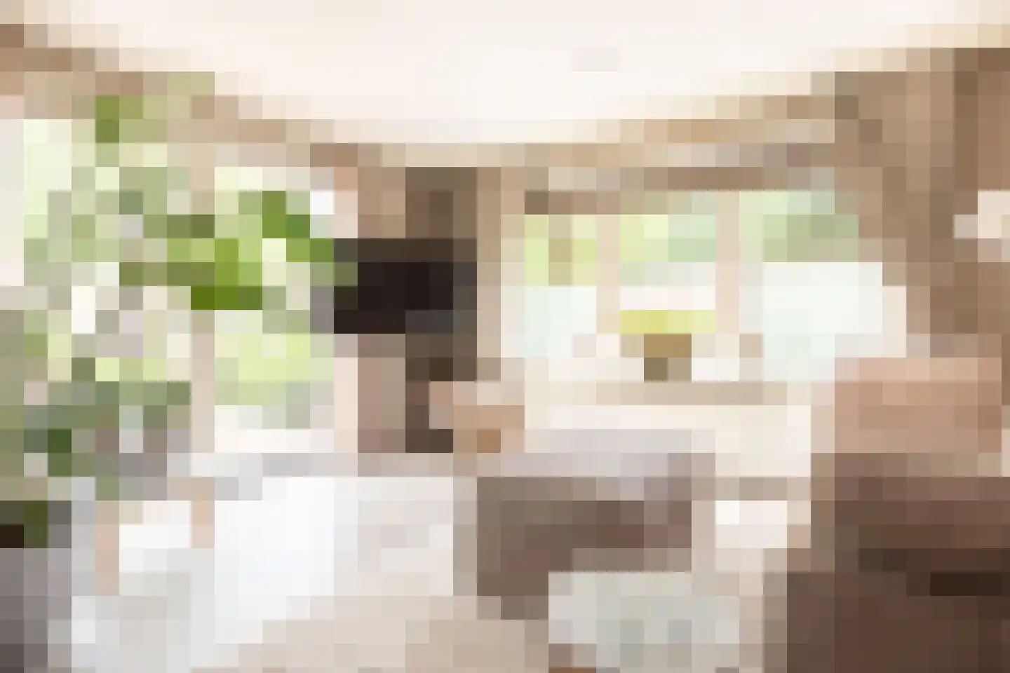 Koningsweg 14 D1 Arnhem thumbnail 8