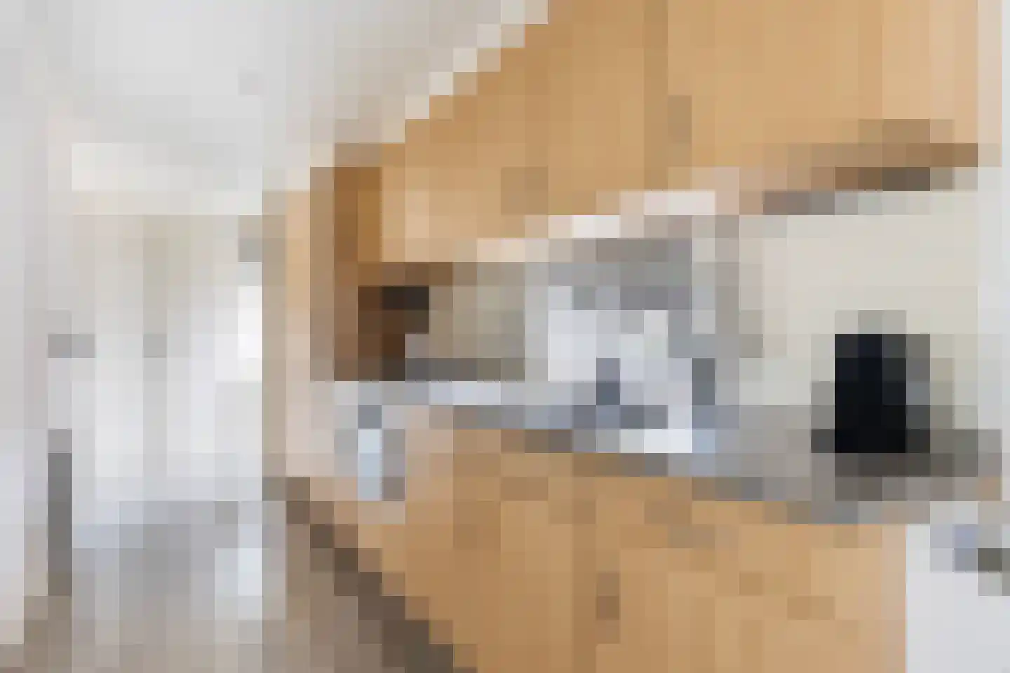 Koningsweg 14 E5 Arnhem thumbnail 10