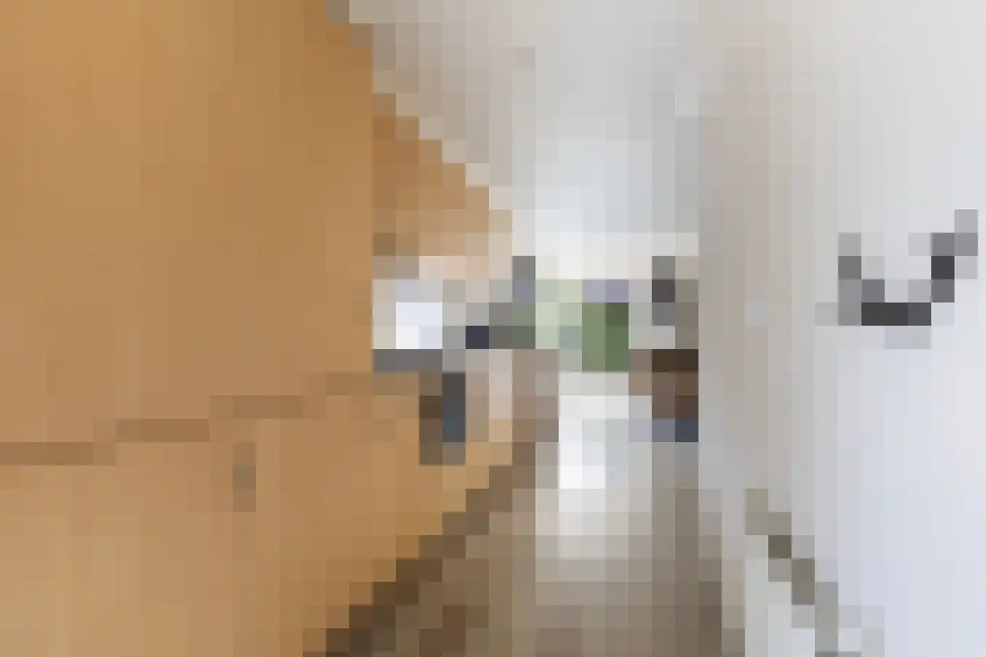 Koningsweg 14 E5 Arnhem thumbnail 11