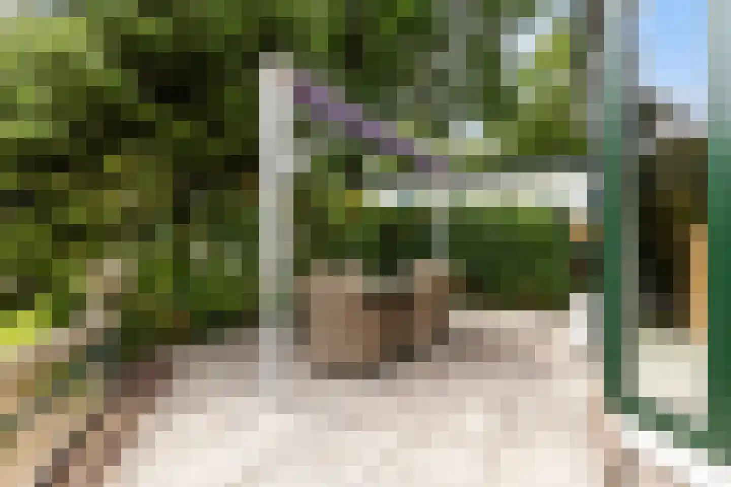 Koningsweg 14 E5 Arnhem thumbnail 22