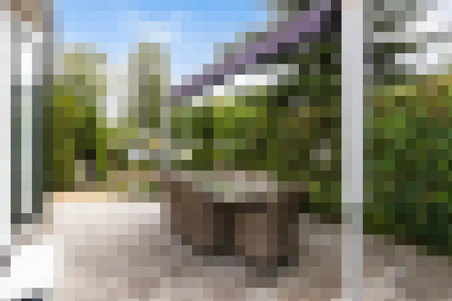 Koningsweg 14 E5 Arnhem thumbnail 23