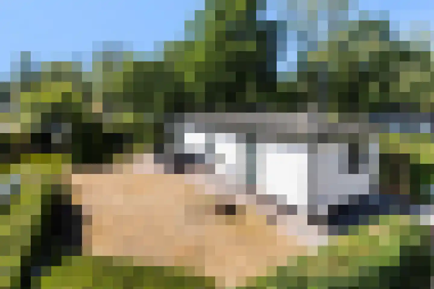 Koningsweg 14 E5 Arnhem thumbnail 29
