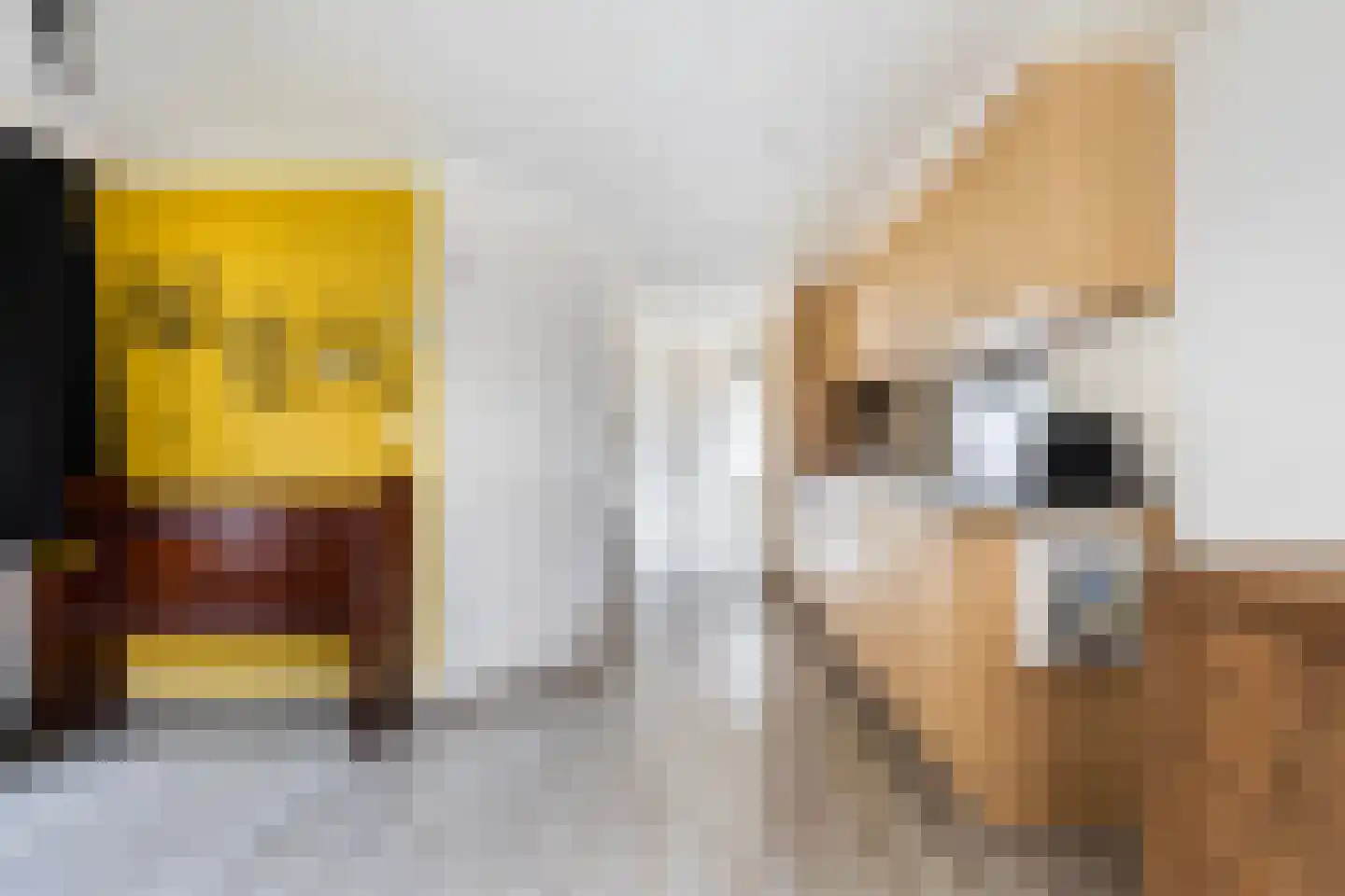 Koningsweg 14 E5 Arnhem thumbnail 9