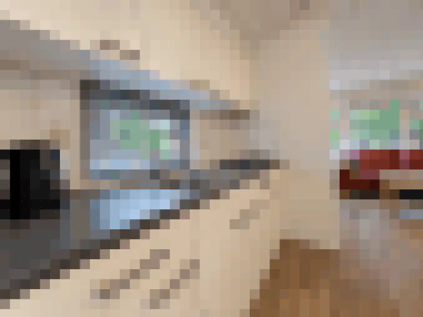 Koningsweg 14 G22 Arnhem thumbnail 11
