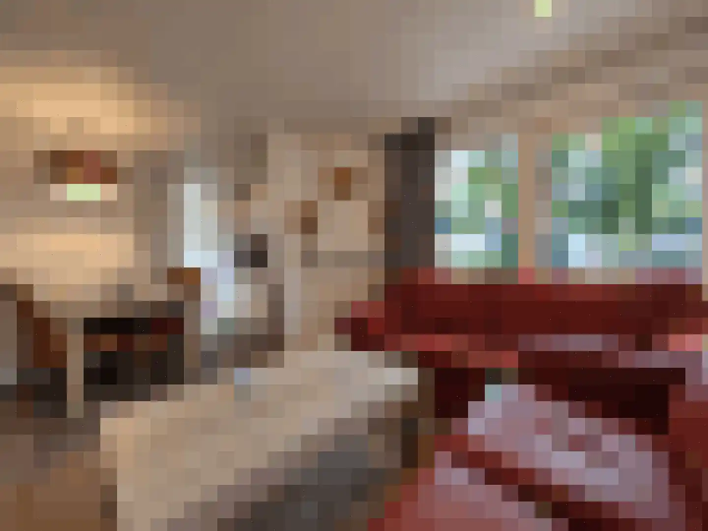 Koningsweg 14 G22 Arnhem thumbnail 18