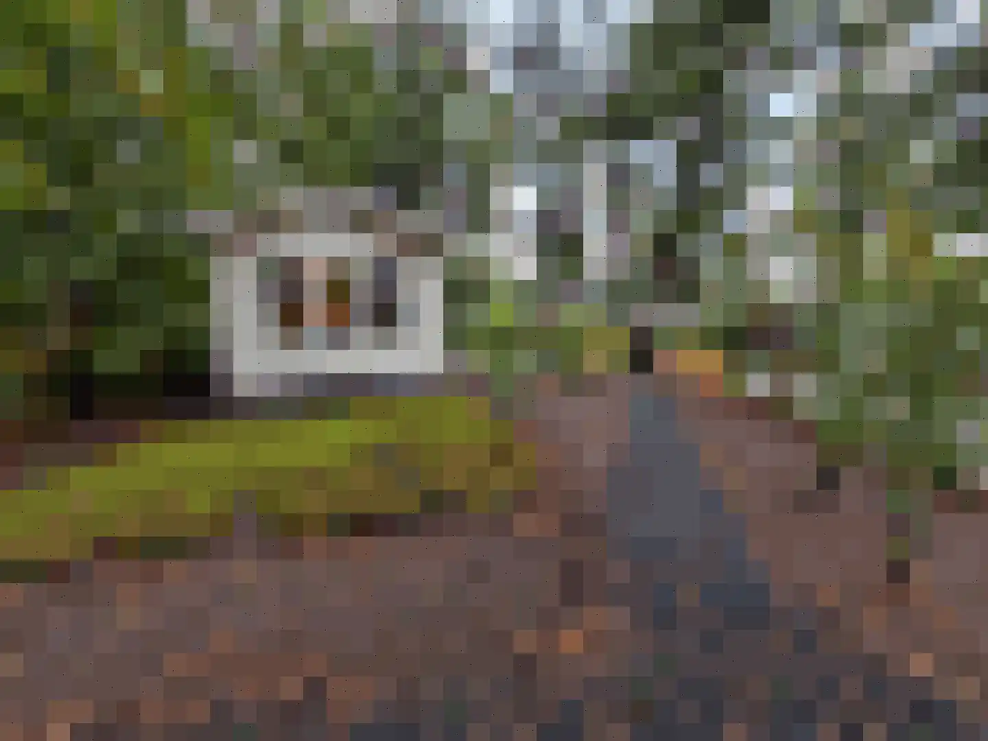 Koningsweg 14 G22 Arnhem thumbnail 4