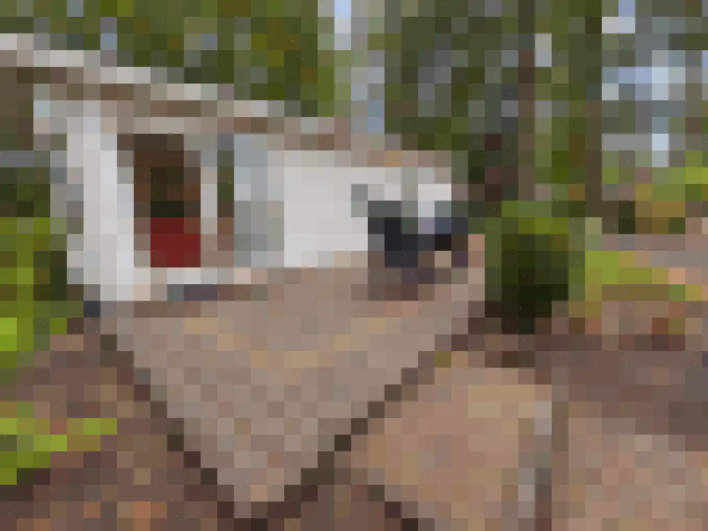 Koningsweg 14 G22 Arnhem thumbnail 5