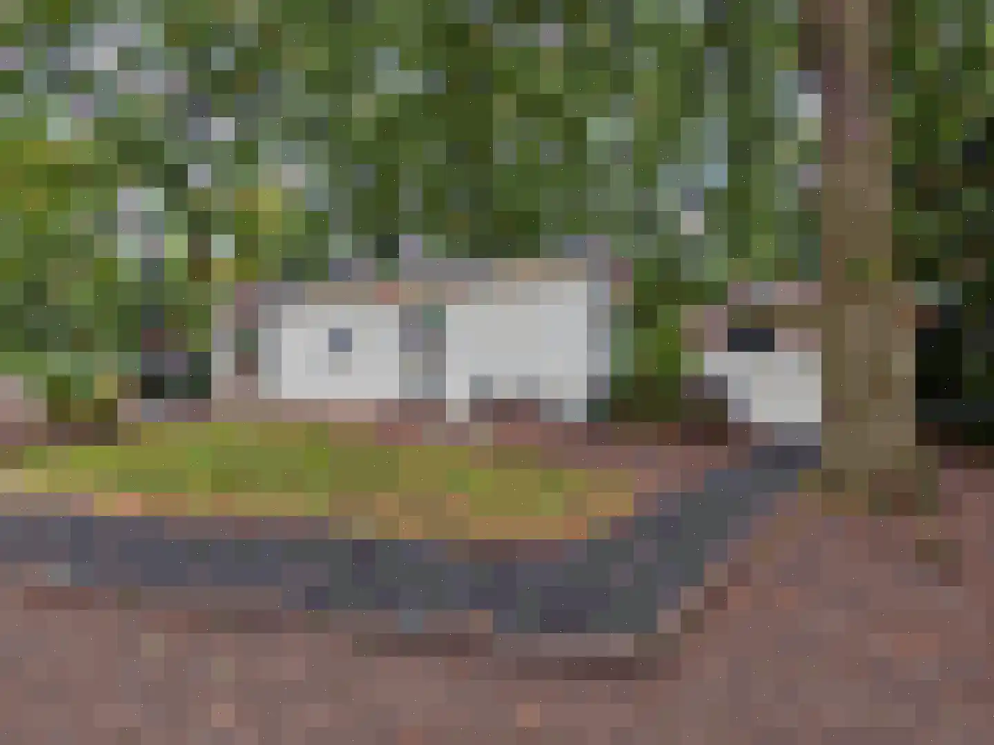Koningsweg 14 G22 Arnhem thumbnail 6