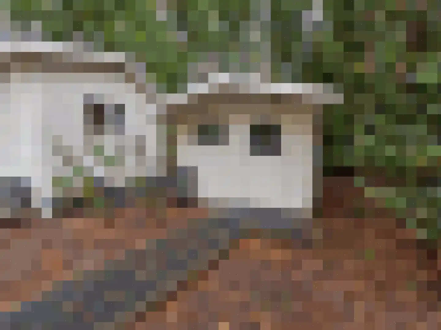 Koningsweg 14 G22 Arnhem thumbnail 7